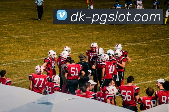 麻将胡了PG官网服务体系